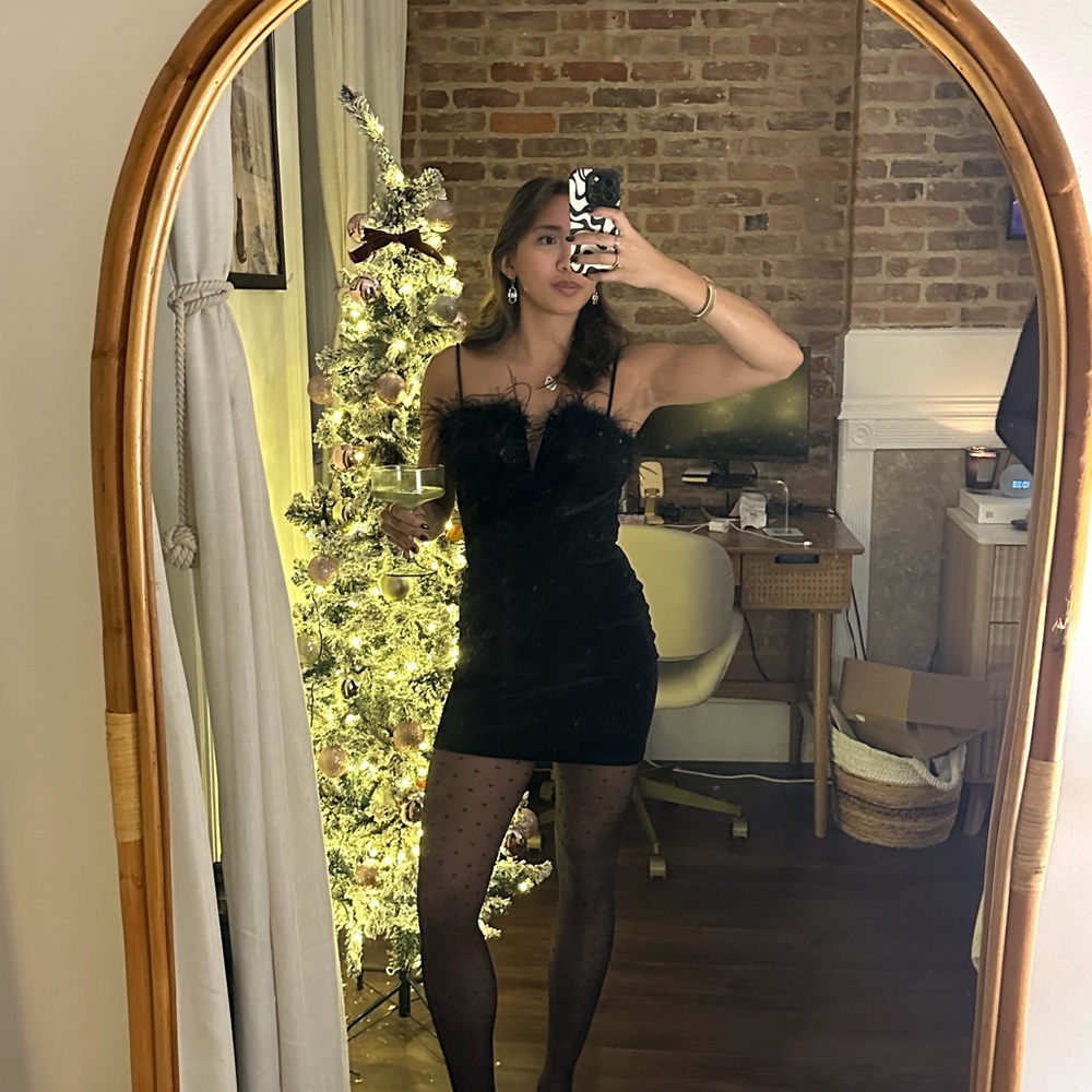 Black Velvet Feathered Mini Dress